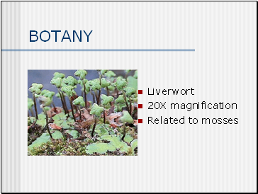 BOTANY