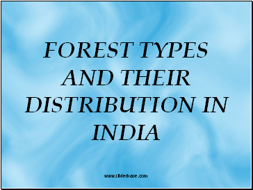 Forest Types And Their Distribution In India