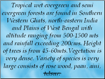 Tropical wet evergreen and semi evergreen forests are found in Southern Western Ghats, north-eastern India and Plains of West Bengal with altitude ranging from 500-1500 mts and rainfall exceeding 200cms. Height of trees is from 45-60mts.Vegetation is very dense. Variety of species is very large consists of rose wood, paan, aini, telsur.