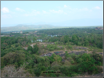 Natural Vegetation