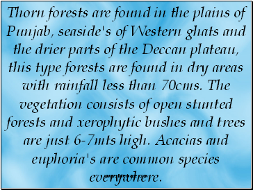 Thorn forests are found in the plains of Punjab, seaside's of Western ghats and the drier parts of the Deccan plateau, this type forests are found in dry areas with rainfall less than 70cms. The vegetation consists of open stunted forests and xerophytic bushes and trees are just 6-7mts high. Acacias and euphoria's are common species everywhere.