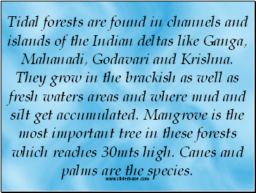 Tidal forests are found in channels and islands of the Indian deltas like Ganga, Mahanadi, Godavari and Krishna. They grow in the brackish as well as fresh waters areas and where mud and silt get accumulated. Mangrove is the most important tree in these forests which reaches 30mts high. Canes and palms are the species.