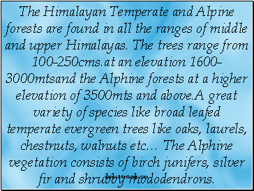 The Himalayan Temperate and Alpine forests are found in all the ranges of middle and upper Himalayas. The trees range from 100-250cms.at an elevation 1600-3000mtsand the Alphine forests at a higher elevation of 3500mts and above.A great variety of species like broad leafed temperate evergreen trees like oaks, laurels, chestnuts, walnuts etcЕ The Alphine vegetation consists of birch junifers, silver fir and shrubby rhododendrons.