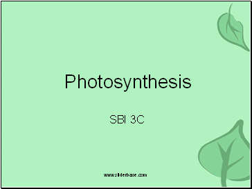 Photosynthesis