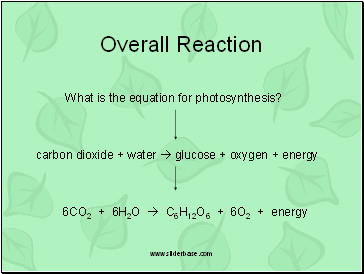 Overall Reaction