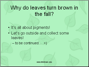 Why do leaves turn brown in the fall?