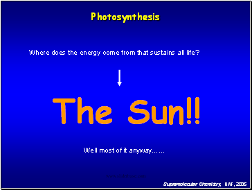 Photosynthesis