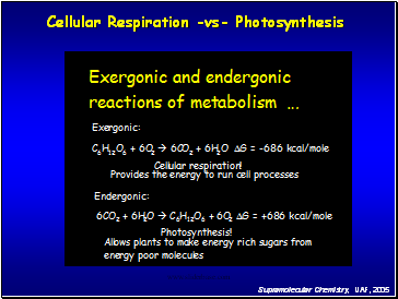 Cellular Respiration