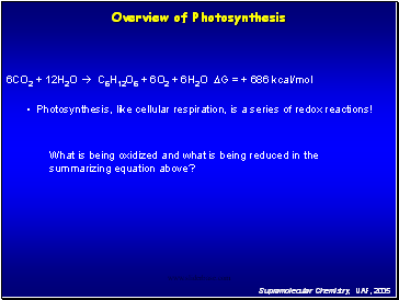 Overview of Photosynthesis