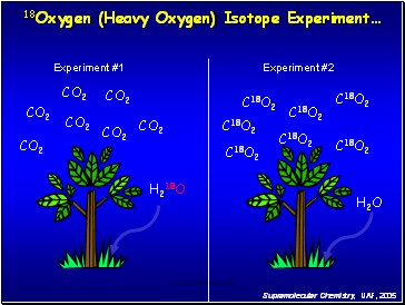 Experiment #1