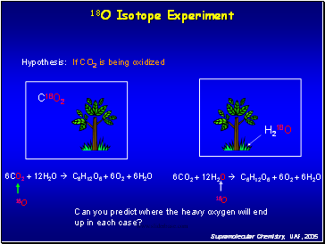 18O Isotope Experiment