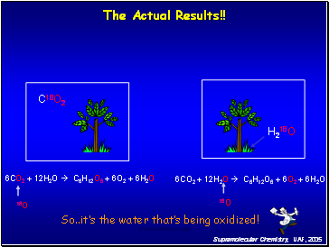 6CO2 + 12H2O  C6H12O6 + 6O2 + 6H2O