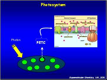 PETC