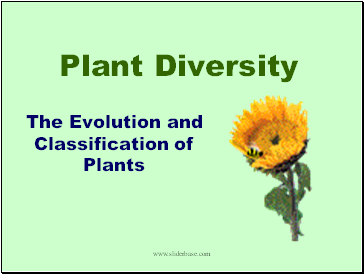 Plant Diversity