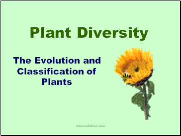 Plant Divisions