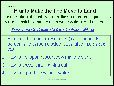 The ancestors of plants were multicellular green algae. They were completely immersed in water & dissolved minerals.