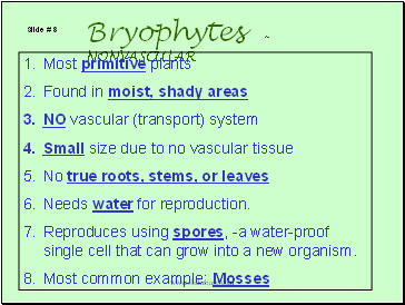 Bryophytes