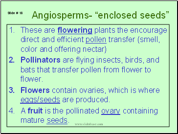 Angiosperms