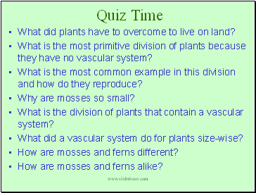 Quiz Time