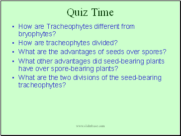 Quiz Time