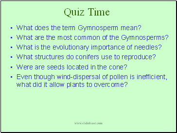 Quiz Time