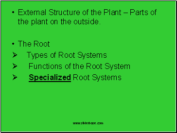 External Structure of the Plant – Parts of the plant on the outside.