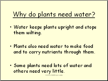Why do plants need water?