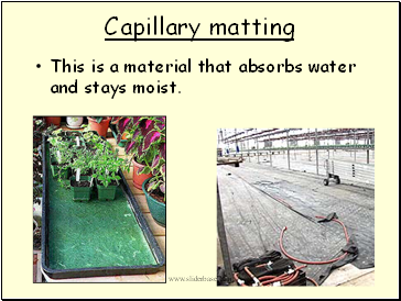 Capillary matting