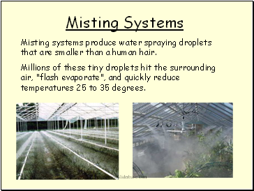 Misting Systems