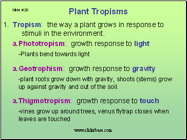 Plant Tropisms