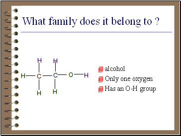 What family does it belong to ?