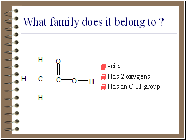 What family does it belong to ?