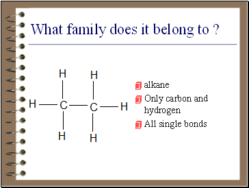 What family does it belong to ?