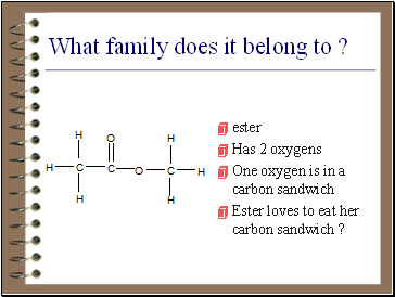 What family does it belong to ?