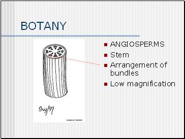 BOTANY