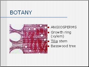 BOTANY