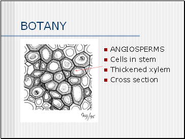 BOTANY