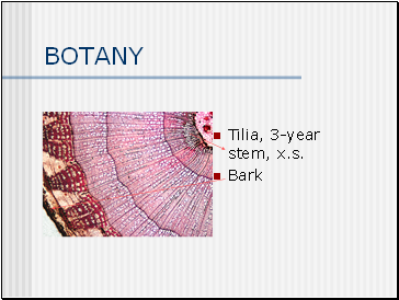 BOTANY