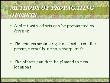 Methods Of Propagating Offsets