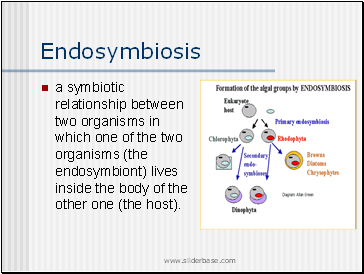 Endosymbiosis