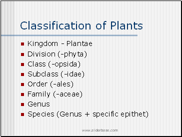 Classification of Plants