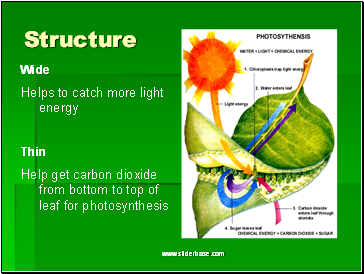 Structure