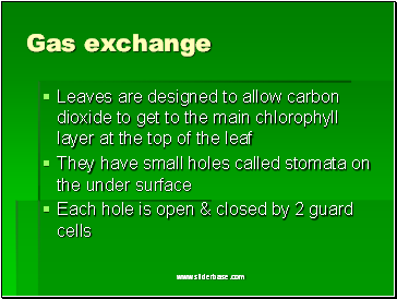 Gas exchange