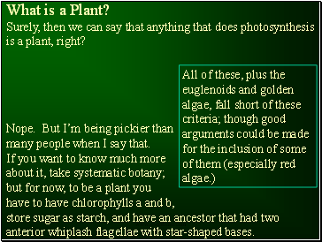 What is a Plant?