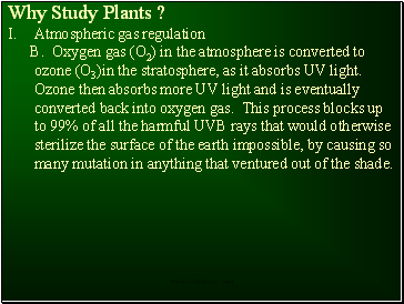 Why Study Plants ?