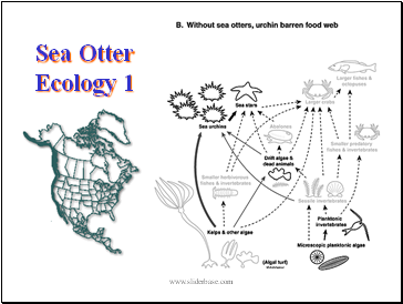 Sea Otter Ecology 1