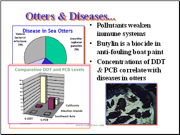 Otters & Diseases