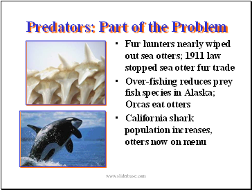 Predators: Part of the Problem