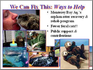 We Can Fix This: Ways to Help