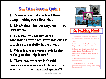 Sea Otter Screen Quiz 1